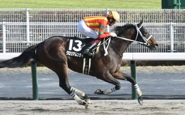 【船橋・ダイオライト記念注目馬】ダートグレード競走最長距離で争われる一戦 中央・地方ともに実績馬揃う