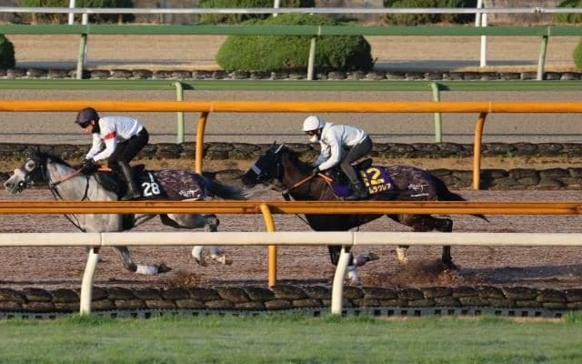 ナムラクレア、高松宮記念1週前追い切り速報/栗東トレセンニュース