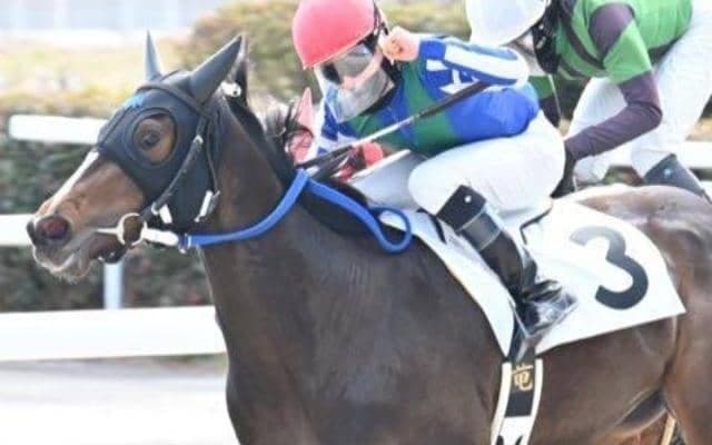 ジャンポケ斉藤氏の愛馬オマタセシマシタ 脚元の不安で放牧へ