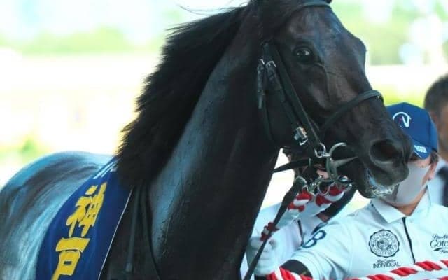 伝統の一戦で兄弟対決 兄アイアンバローズと弟ジャスティンパレスが阪神大賞典に参戦