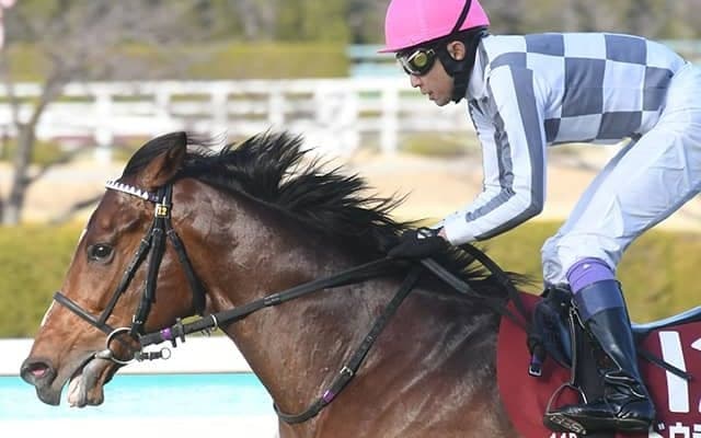 ドウデュースやイクイノックスら15頭 ドバイWCデーに向け現地到着