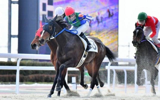 ジャンポケ斉藤所有 オマタセシマシタは放牧へ