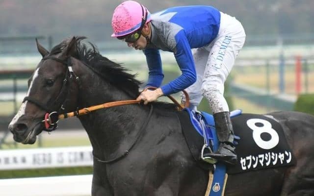 【スプリングS出走馬・騎手確定】セブンマジシャン＆戸崎圭太騎手、ベラジオオペラ＆横山武史騎手など16頭