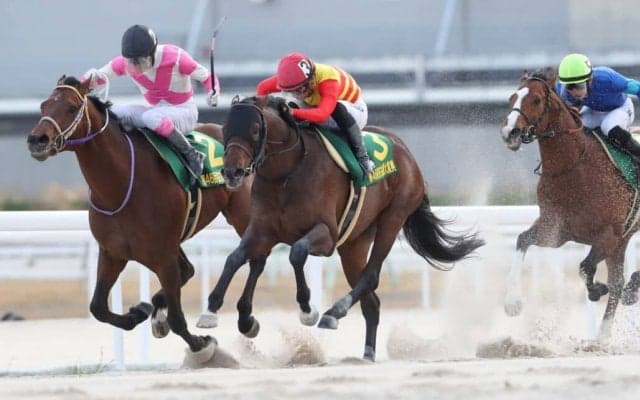 【名古屋大賞典】ハギノアレグリアスが大接戦を制する…川田将雅騎手は交流重賞3日連続V