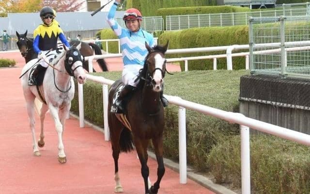 【阪神大賞典】メロディーレーンは好勝負可能!? 今回の出走条件では複勝率40％超え