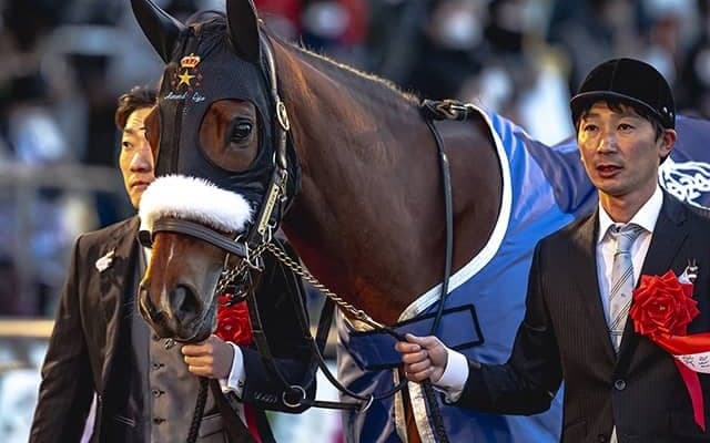 アーモンドアイがキタサンブラックの仔を受胎 合計16冠ベビーに