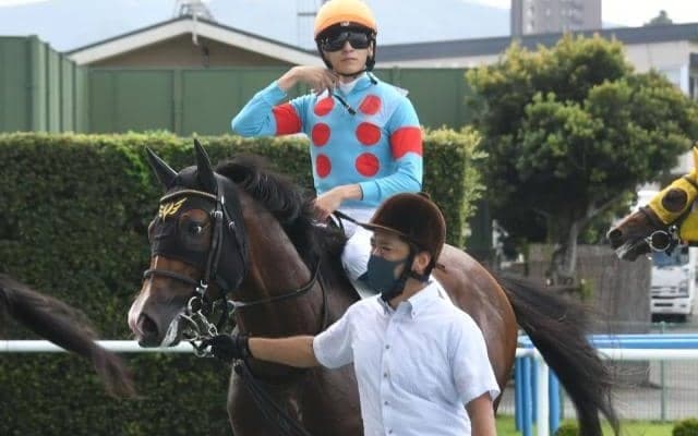 【ファルコンS枠順確定】カルロヴェローチェは2枠2番、ペースセッティングは5枠8番