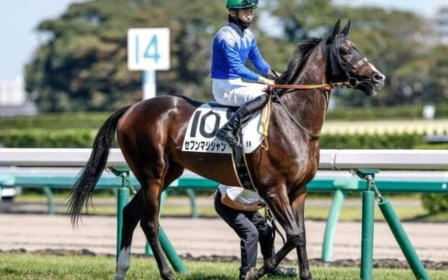 【スプリングS枠順確定】セブンマジシャンは8枠15番、ベラジオオペラは2枠4番