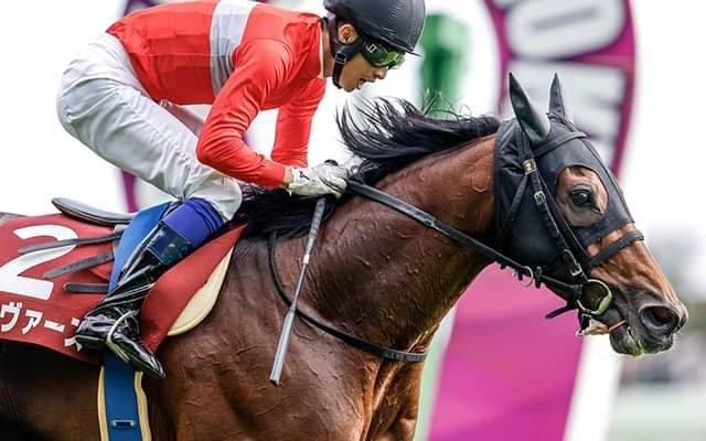 22年の東京ハイジャンプ覇者ゼノヴァースに右前浅屈腱炎 全治は9カ月以上