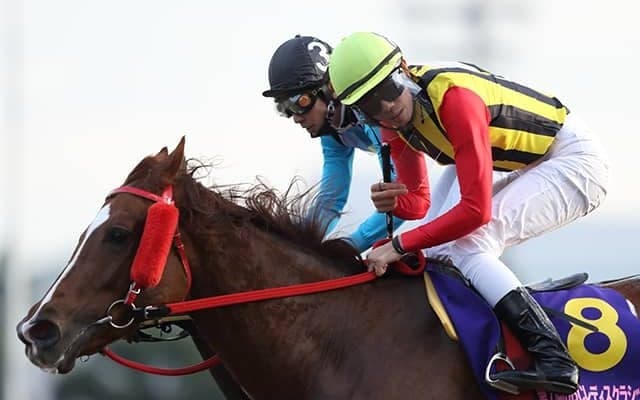 【地方競馬】大井の真島大輔騎手が調教師免許試験合格 今月で騎手引退