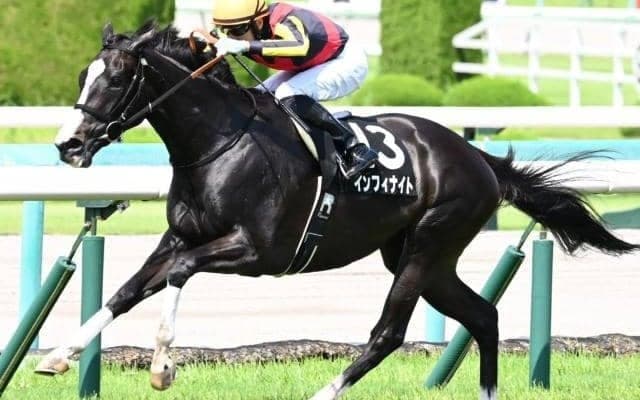 【淀屋橋S】単騎逃げ濃厚インフィナイトで好配当狙い