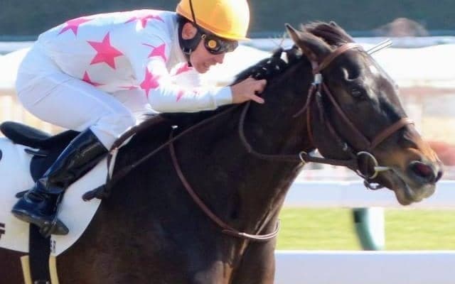 3場ともに道悪濃厚 ルーラーシップ産駒マテンロウアルテの一発があるぞ