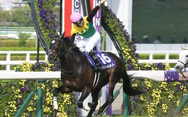 タイトルホルダーやアスクビクターモアなど日経賞に11頭