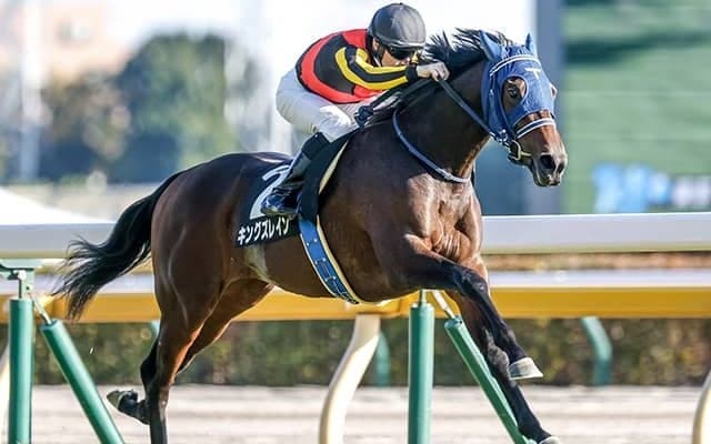 キングズレインやオメガリッチマンなど毎日杯に13頭