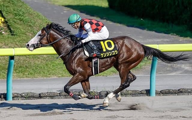 ケンシンコウやカテドラルなどマーチSに22頭