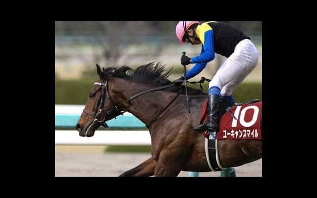 近年の阪神大賞典は波乱含み 「穴党記者」は中間の気配がいいベテラン２頭の大駆けを匂わす