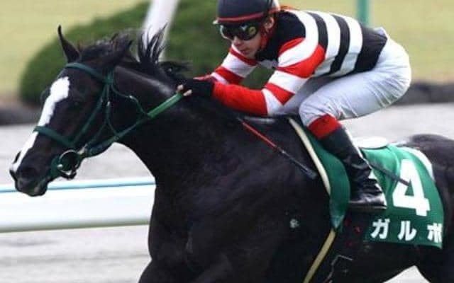 重賞4勝のガルボ死す 現役高知最強馬ガルボマンボの父
