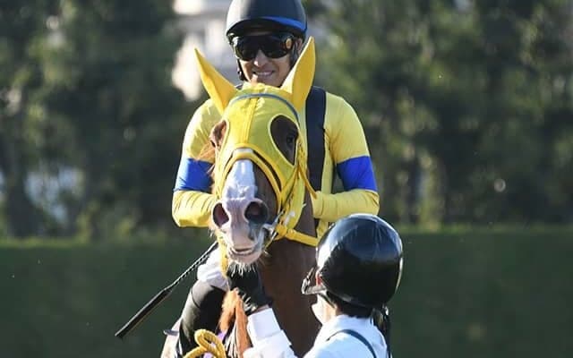 【AI予想・阪神大賞典】人工知能「◎」は重賞未勝利馬!? 負けて強しの内容で3強ムードに断