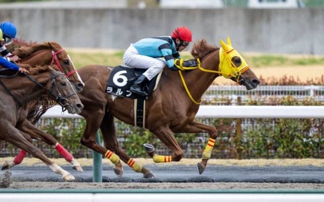 【弥富特別】武豊 ラルフがしぶとく抜け出す