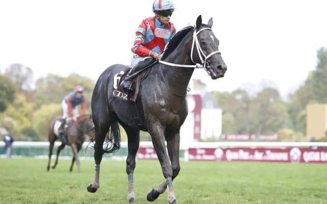 【今日の注目ポイント】天皇賞の前哨戦・阪神大賞典、皐月賞トライアルのスプリングS