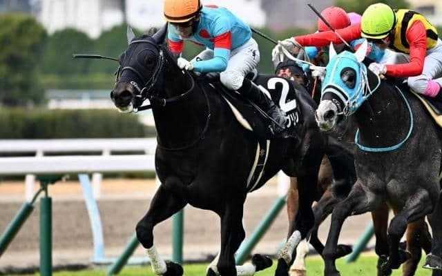【スプリングS予想】成長力も感じさせる血統構成 皐月賞への切符を手にする上位3頭は