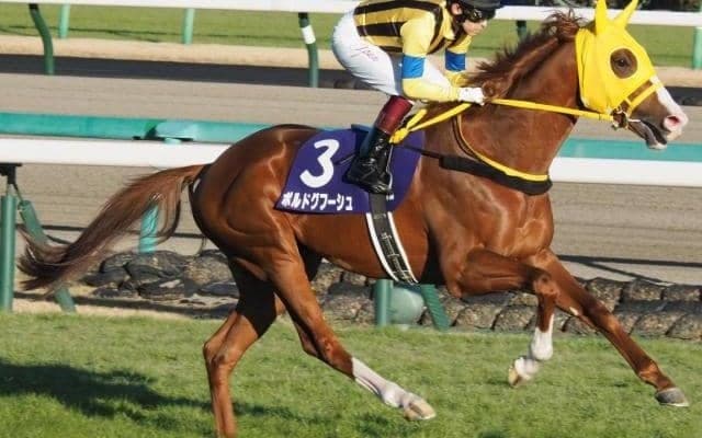 【阪神大賞典予想】過去10年間で1番人気馬が7勝 天皇賞(春)への優先出走権を懸けた重要な一戦