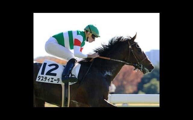 弥生賞を快勝したタスティエーラ「どんな競馬もできる」と陣営はクラシック制覇にも自信