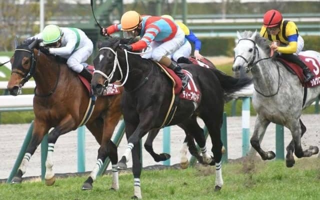 【阪神大賞典予想】今年も強いのは1番人気か？ キーワードに当てはまる穴馬はいる？