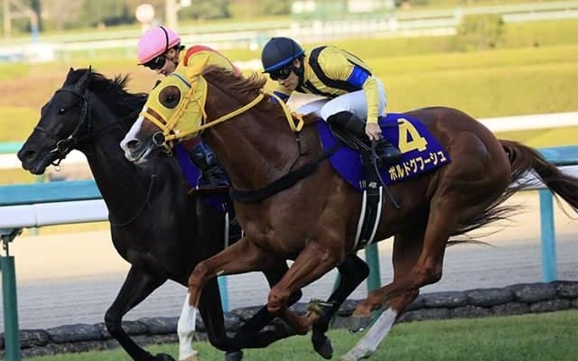 【阪神大賞典・馬体重】ボルドグフーシュは500kg(+2)、ジャスティンパレスは472kg(+16)