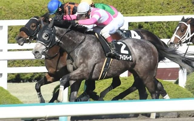 【JRA・WIN5】本日のWIN5は的中231票、配当235万70円