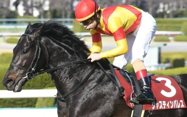 【阪神大賞典結果】ジャスティンパレスが快勝で重賞2勝目 ディープボンドは3連覇ならず5着