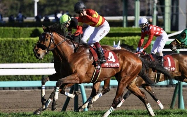 【スプリングS】べラジオオペラが無傷の3連勝…皐月賞権利獲得