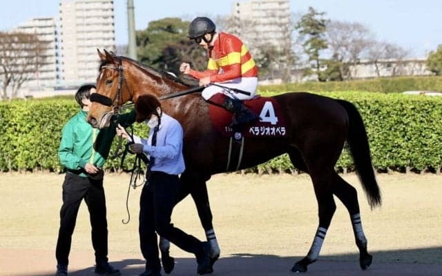 【スプリングS】横山武「馬の能力を殺さないように気をつけた」べラジオオペラが無傷の3連勝