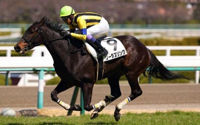 【阪神5R】武豊 ソーダズリングが初勝利