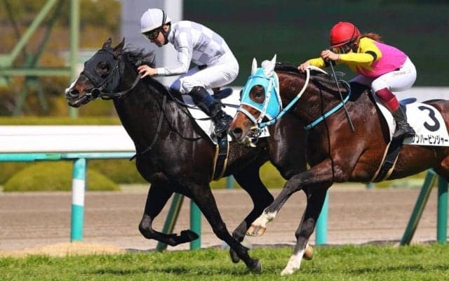 【阪神7R】良血タイミングハートが2勝目