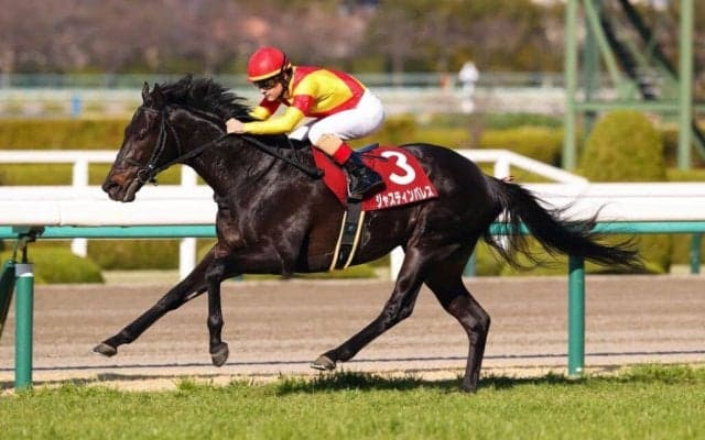 【阪神大賞典】ジャスティンパレスが重賞2勝目