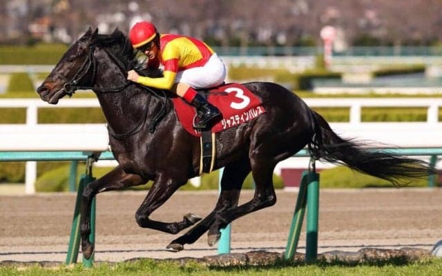 【阪神大賞典】ルメール「G1レベルに行ける」ジャスティンパレスが重賞2勝目