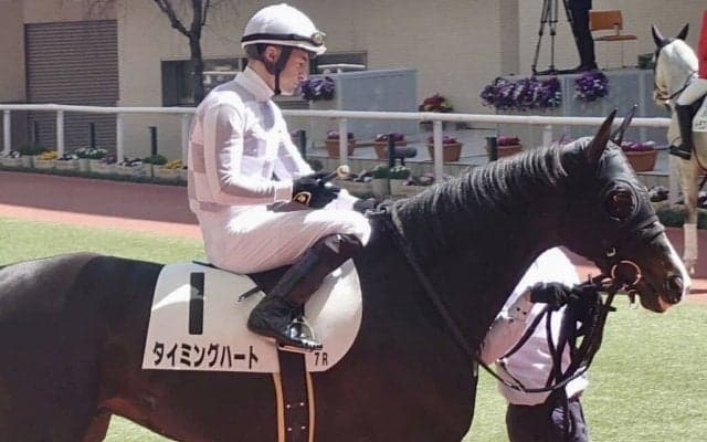 【阪神7R】武幸師「諦めずに差し返してくれた」良血タイミングハートがV