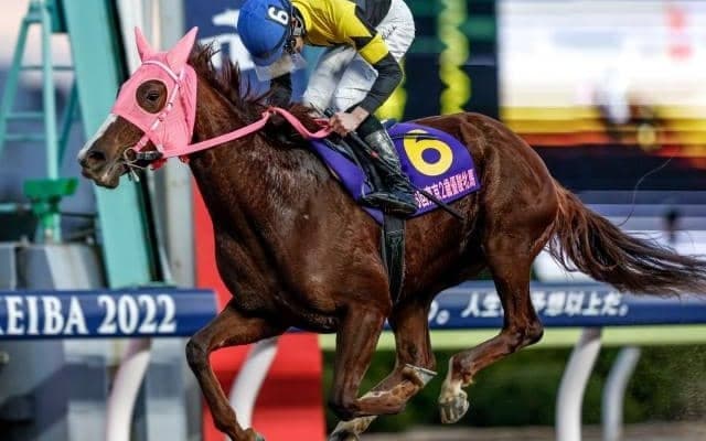 【浦和・桜花賞枠順】南関東牝馬クラシックが開幕 昨年の2歳女王メイドイットマムは5枠6番