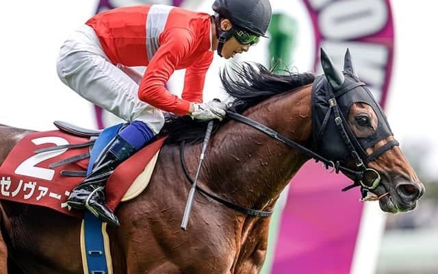 2022年東京ハイジャンプ覇者ゼノヴァース、OP馬ラルナブリラーレなどがJRA登録を抹消