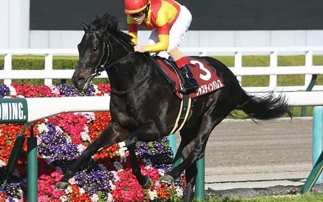 【阪神大賞典】売上は61億9990万3200円で昨年から約10億円減少