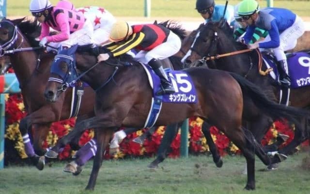 ホープフルS3着馬が毎日杯で重賞初制覇へ 現3歳世代は父ルーラー×母の父ディープの当たり年