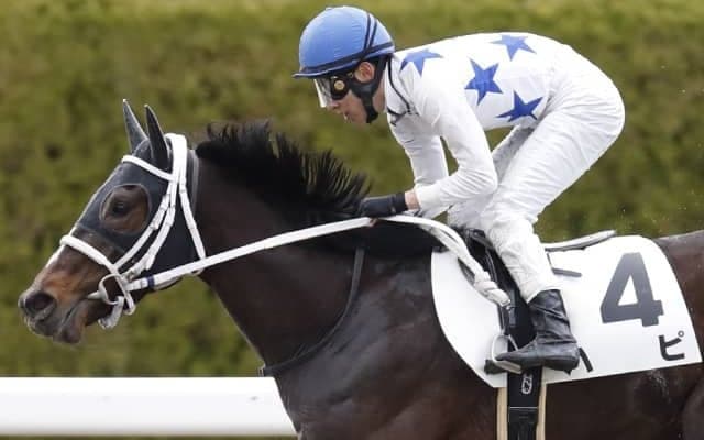 【マーチS想定騎手】ハピは横山典弘騎手、ウィリアムバローズは横山武史騎手