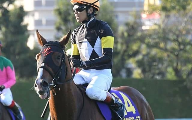 【日経賞想定騎手】アスクビクターモアは田辺裕信騎手、タイトルホルダーは横山和生騎手