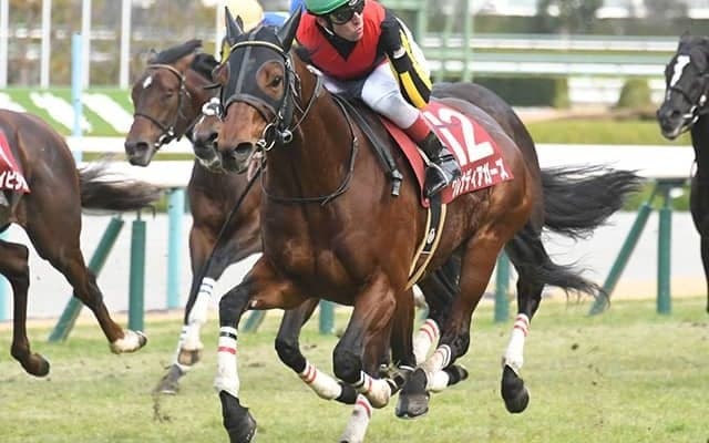 【AI予想・高松宮記念】波乱必至の大混戦！ 昨年惨敗も期待値十分な「◎」候補