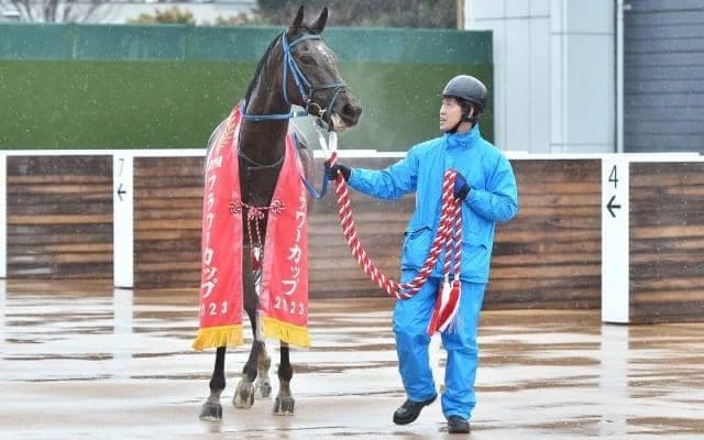 エミューが重賞初制覇 道悪をものともせず秘めたパワーを発揮