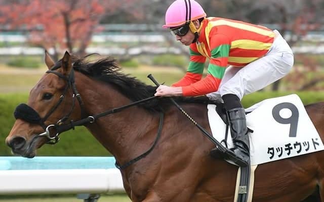 1200万円のタッチウッドまでが皐月賞出走圏内の見込み  3歳牡馬の収得賞金一覧
