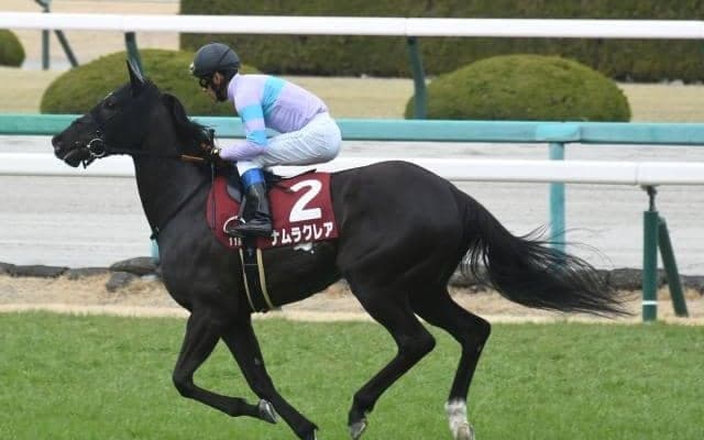 【高松宮記念予想オッズ】ナムラクレアが予想1番人気