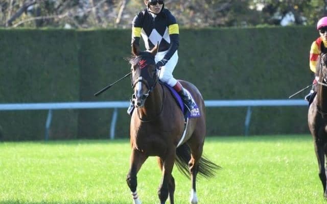 【日経賞予想オッズ】アスクビクターモアが予想1番人気