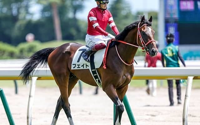 毎日杯に1億5000万円超えの高額馬が2頭出走 血統と戦績に注目